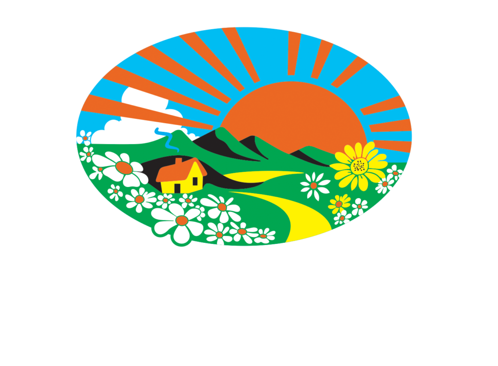 Logo Vale do Sol